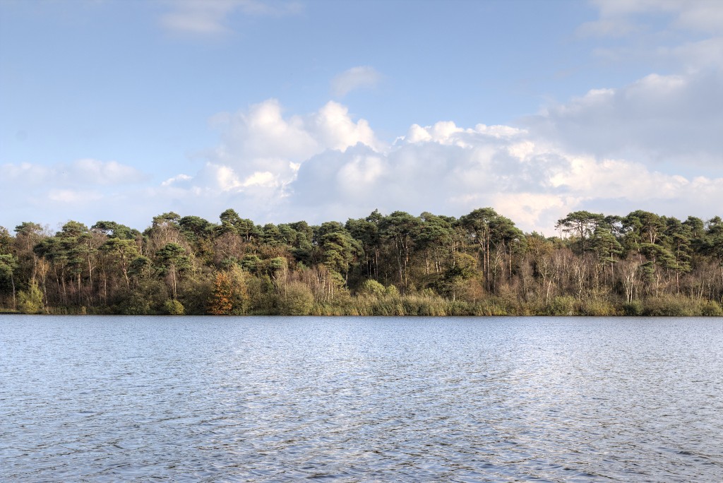 Oisterwijkse Bossen en Vennen Kampina natuurgebied natuur oisterwijk Nationaal park Landschap Het Groene Woud hei heide bossen natuurmonumenten brabant baronie boswachterij dorst